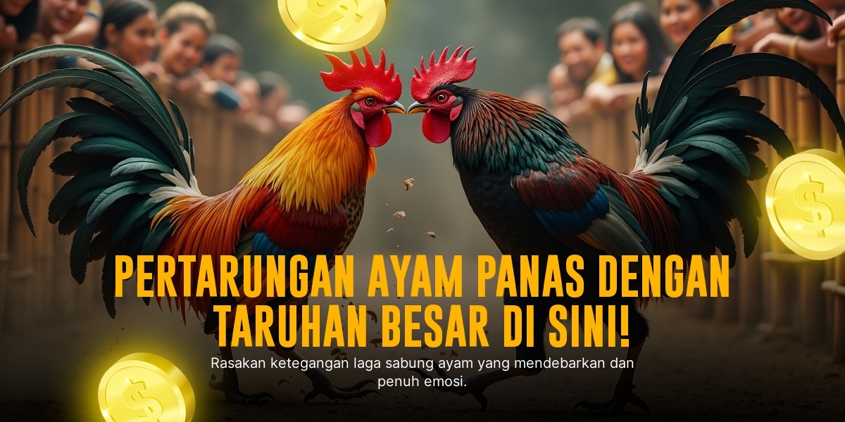 Mengenal Jenis Ayam Bangkok Unggulan di Sabung Ayam SV388